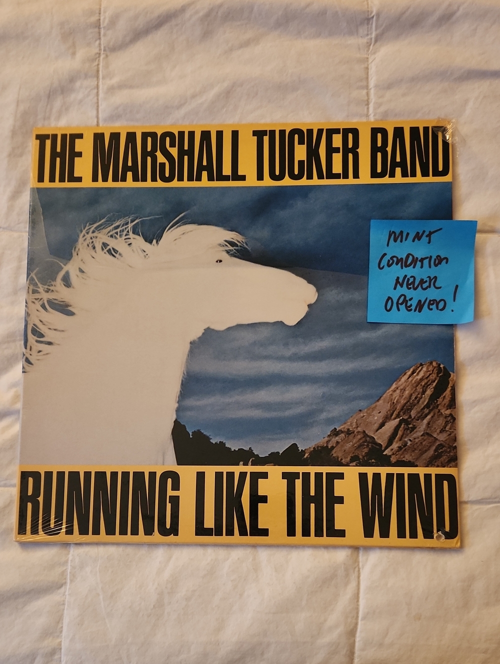 Warner Bros. Yellow and Blue Horse Graphic Album Cover